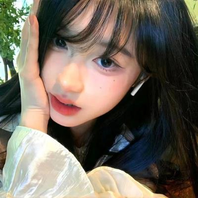 盗贼生涯